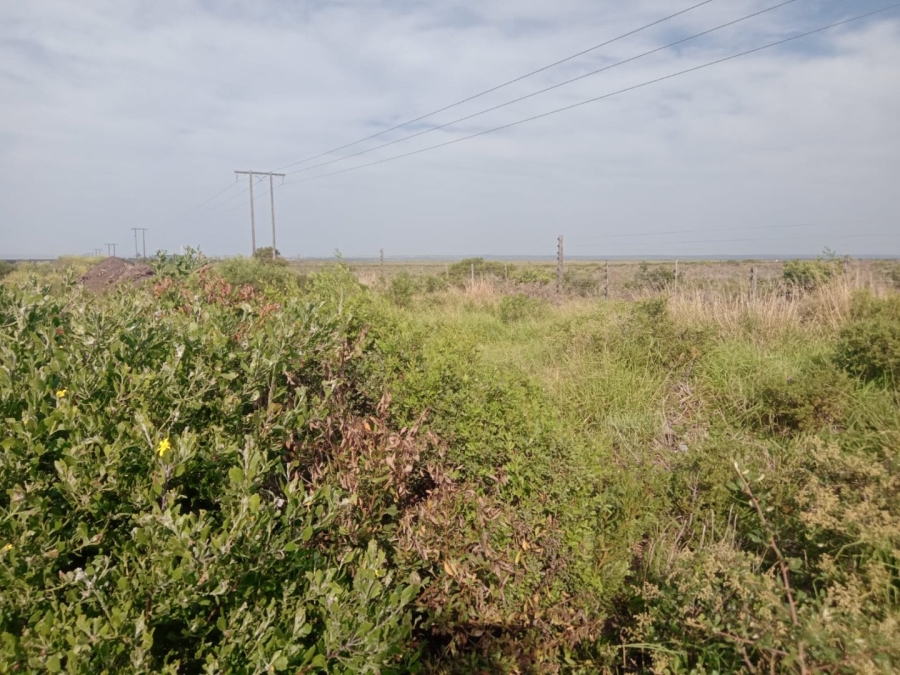 Commercial Property for Sale in C Place Eastern Cape